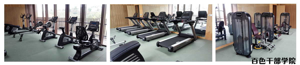 学校健身器材-广西suncitygroup太阳集团体育健身器材有限公司