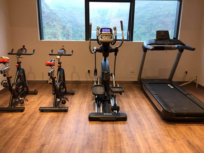 室内健身器材,单位健身器材,健身器材十大品牌-广西suncitygroup太阳集团体育健身器材有限公司