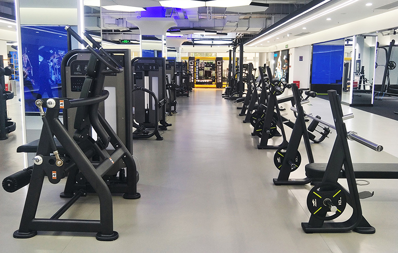 suncitygroup太阳集团力量器械