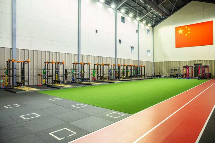体能训练解决方案-广西suncitygroup太阳集团体育