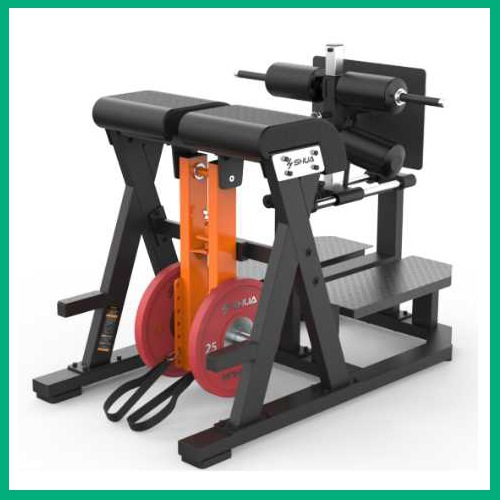 后表链训练器SH-G8924-广西suncitygroup太阳集团体育健身器材有限公司